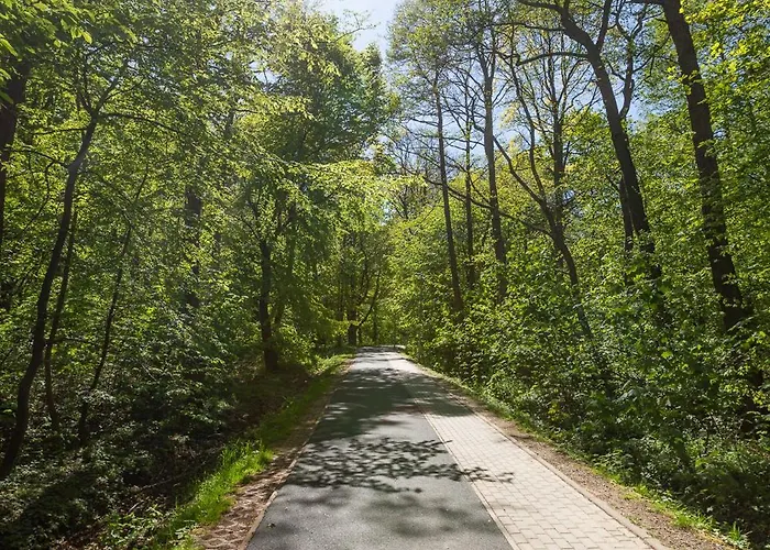 Blue Mare Polanki Klonowa Behappy 350 M Baltic Sea コウォブジェク