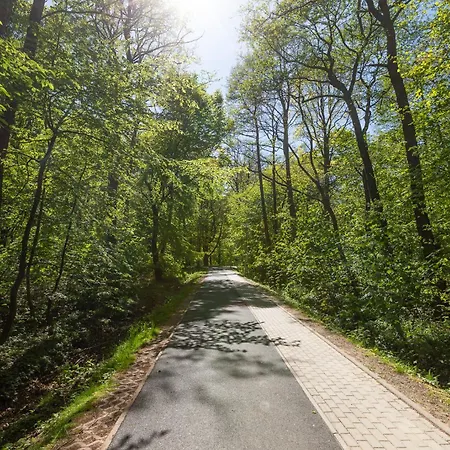 Blue Mare Polanki Klonowa Behappy 350 M Baltic Sea Kolberg